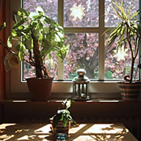 בית הארחה Rosengarten Kehl