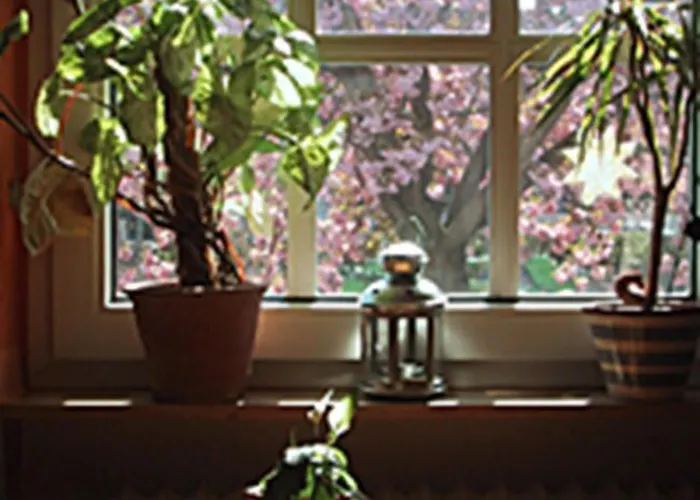 Гостевой дом Rosengarten Kehl